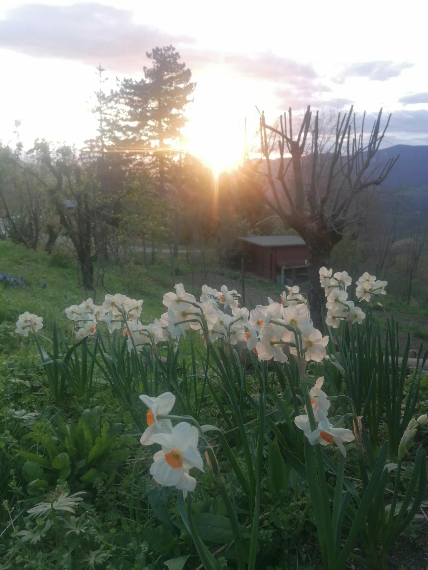 Ca' Dei Ste Bed and Breakfast Valle  Exteriör bild